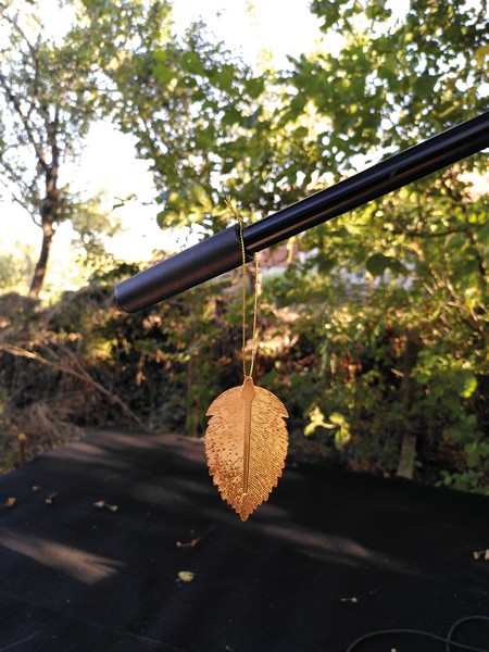 feuille 