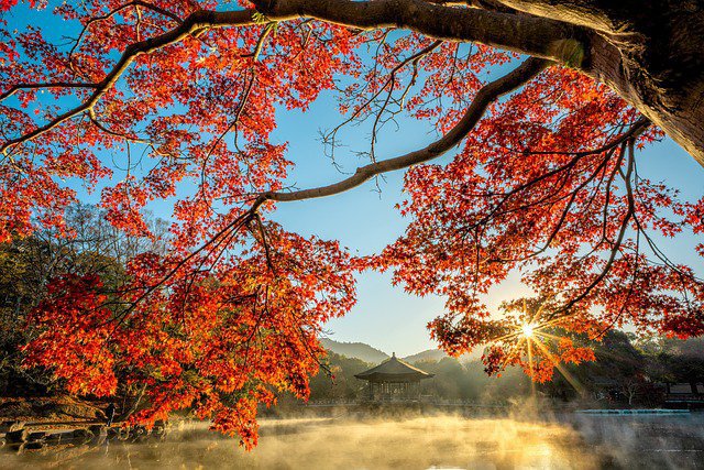 japon