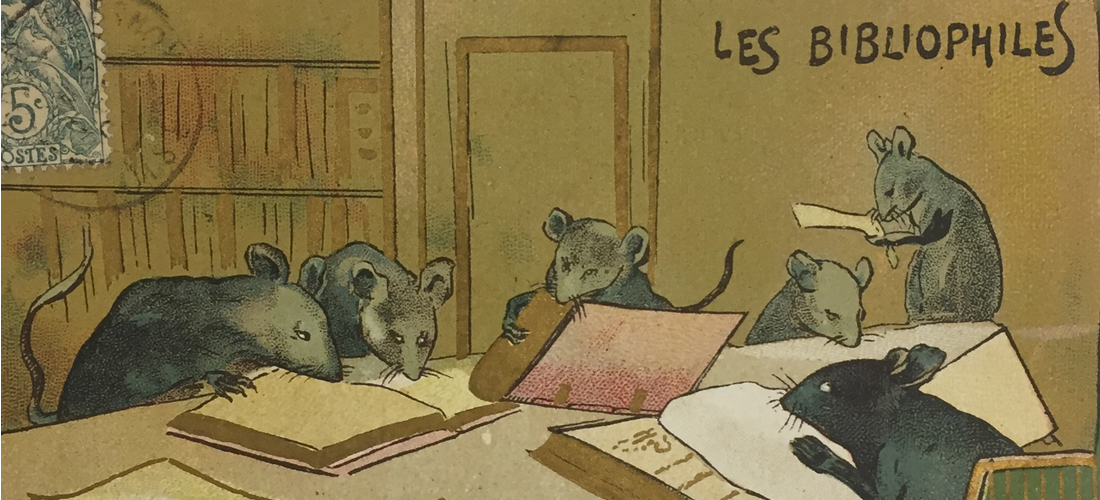 carte postale les rats bibliophiles