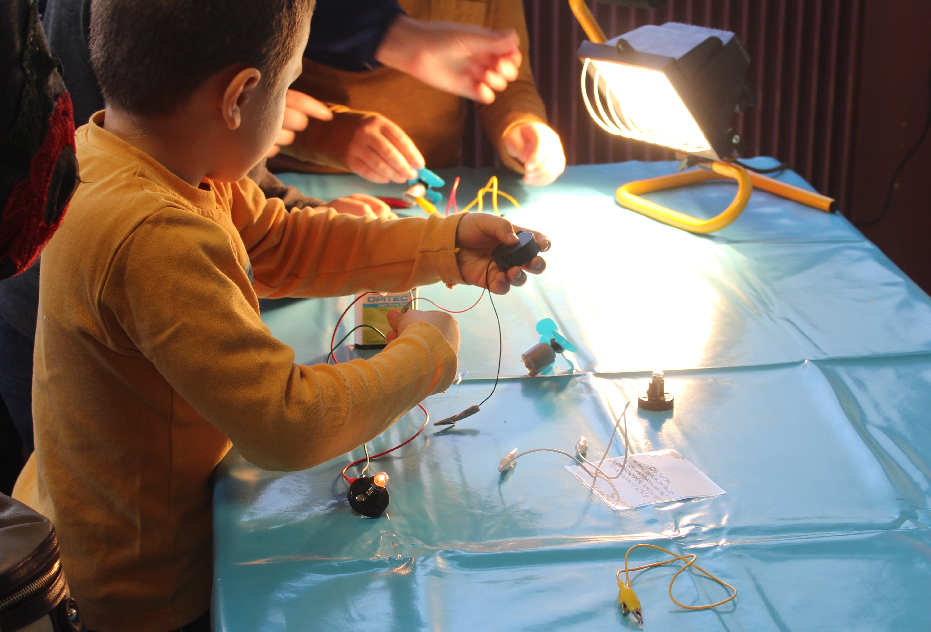 atelier arborésciences