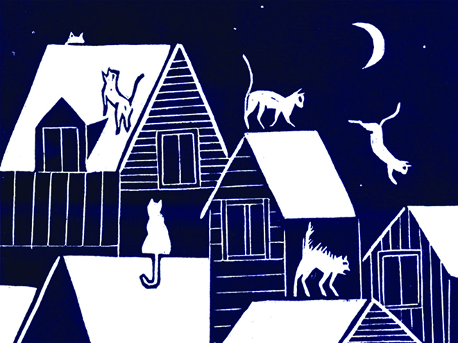les chat