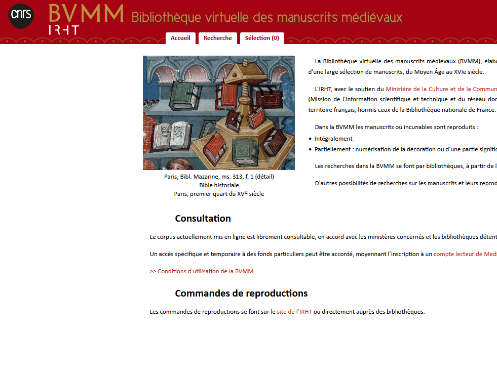 BVMM