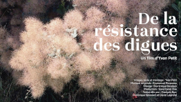 visuel resistance des digues